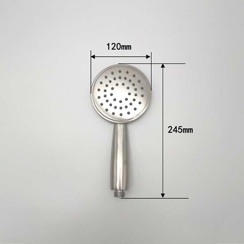 Simple silver hand spray brushed shower 6612